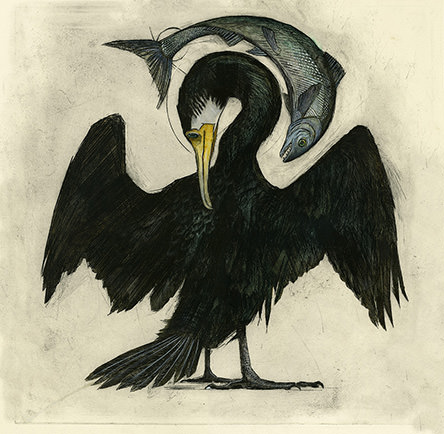 Olivia Lomenech Gill | Cormorant 